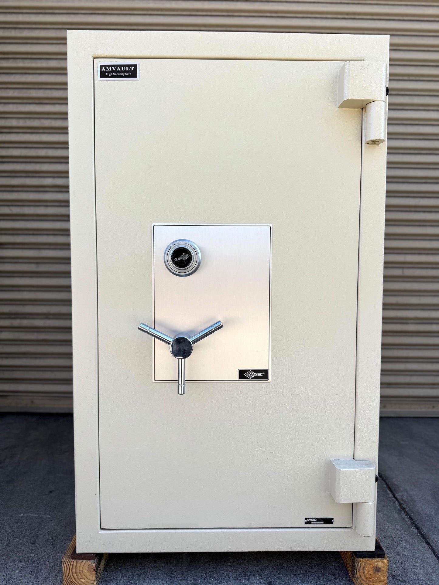 AmVault CF4524 TL-30 Jewelry Safe