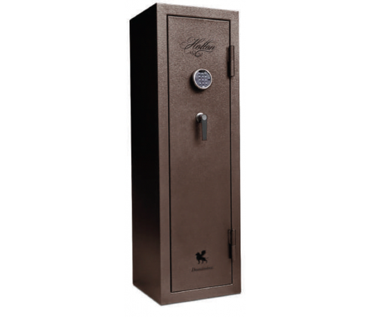 Hollon DOM-11E - California Safes